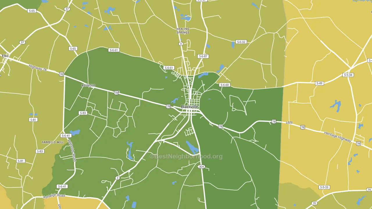 29817, SC block-group voter-turnout map