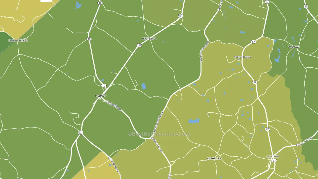 29819, SC block-group voter-turnout map