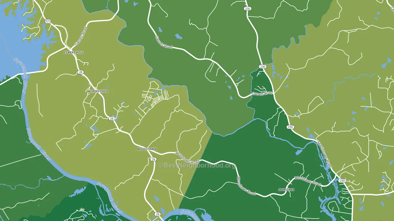 29821, SC block-group voter-turnout map