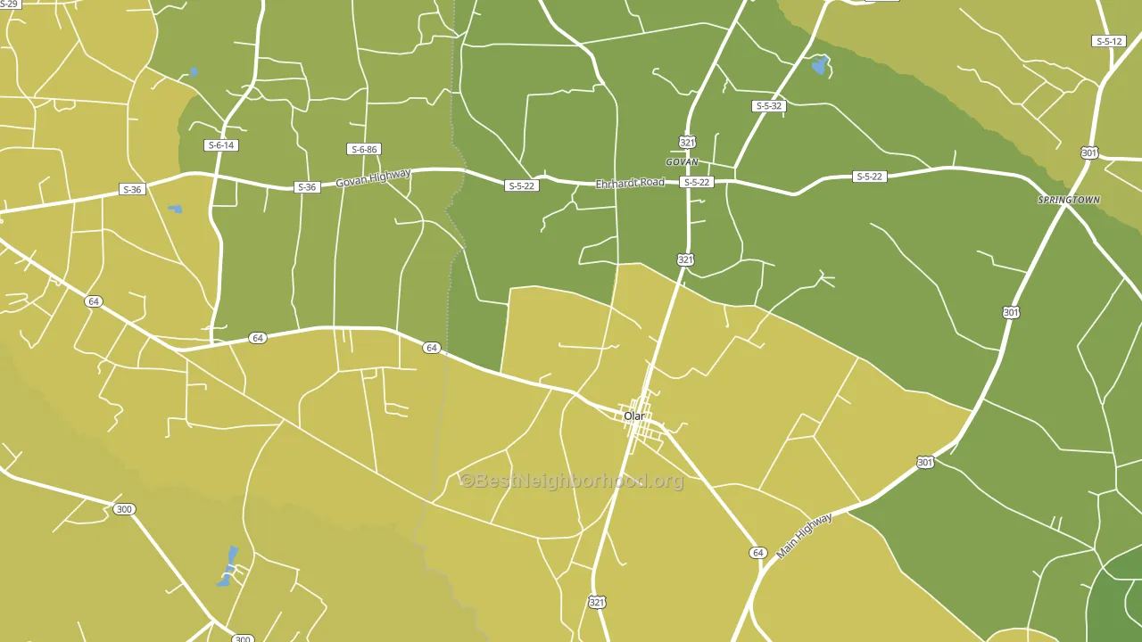 29843, SC block-group voter-turnout map