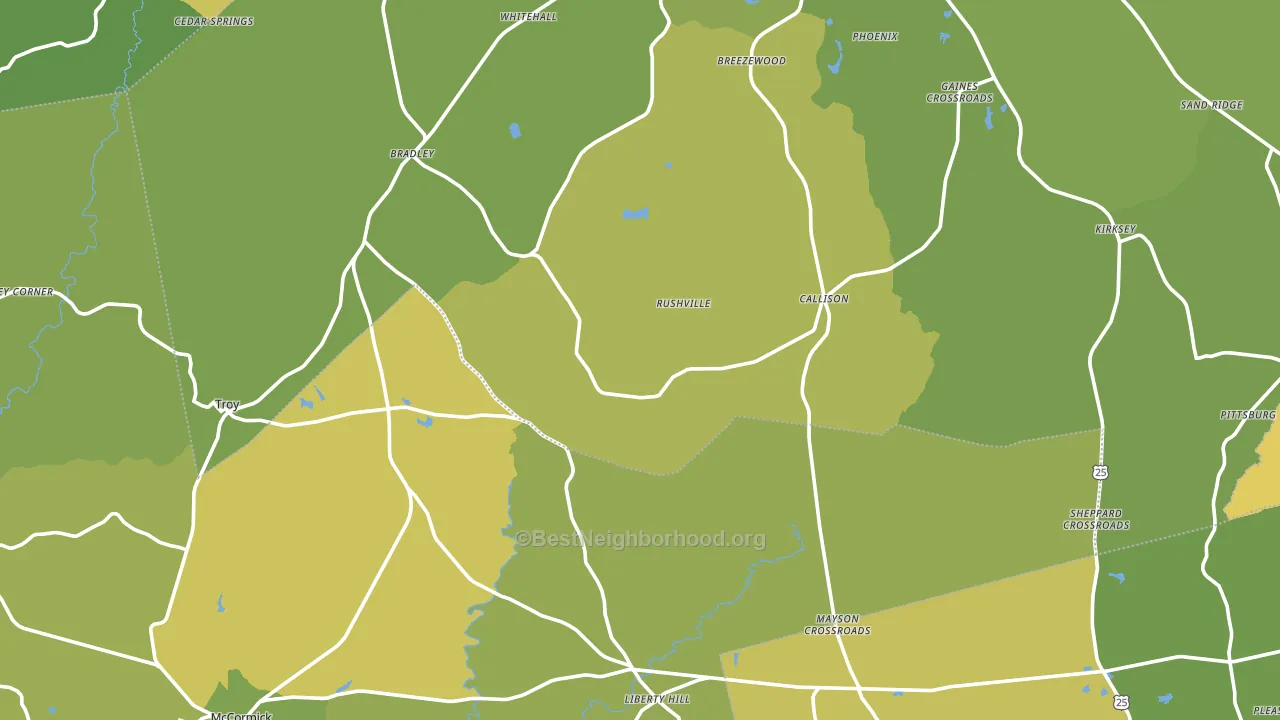 29848, SC block-group voter-turnout map