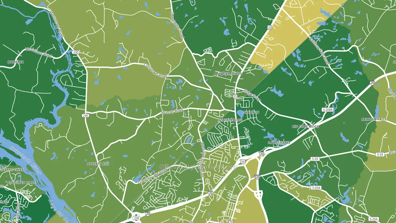 29860, SC block-group voter-turnout map