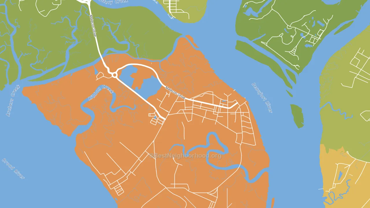 29905, SC block-group voter-turnout map
