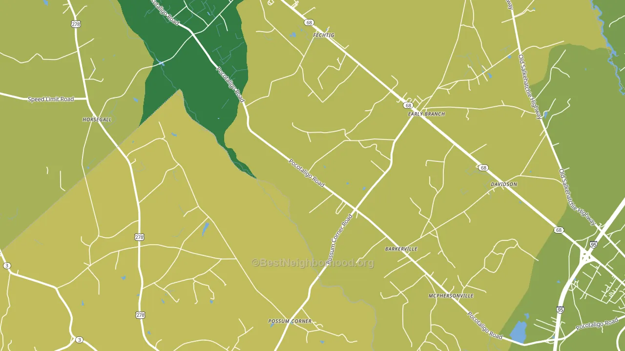 29916, SC block-group voter-turnout map