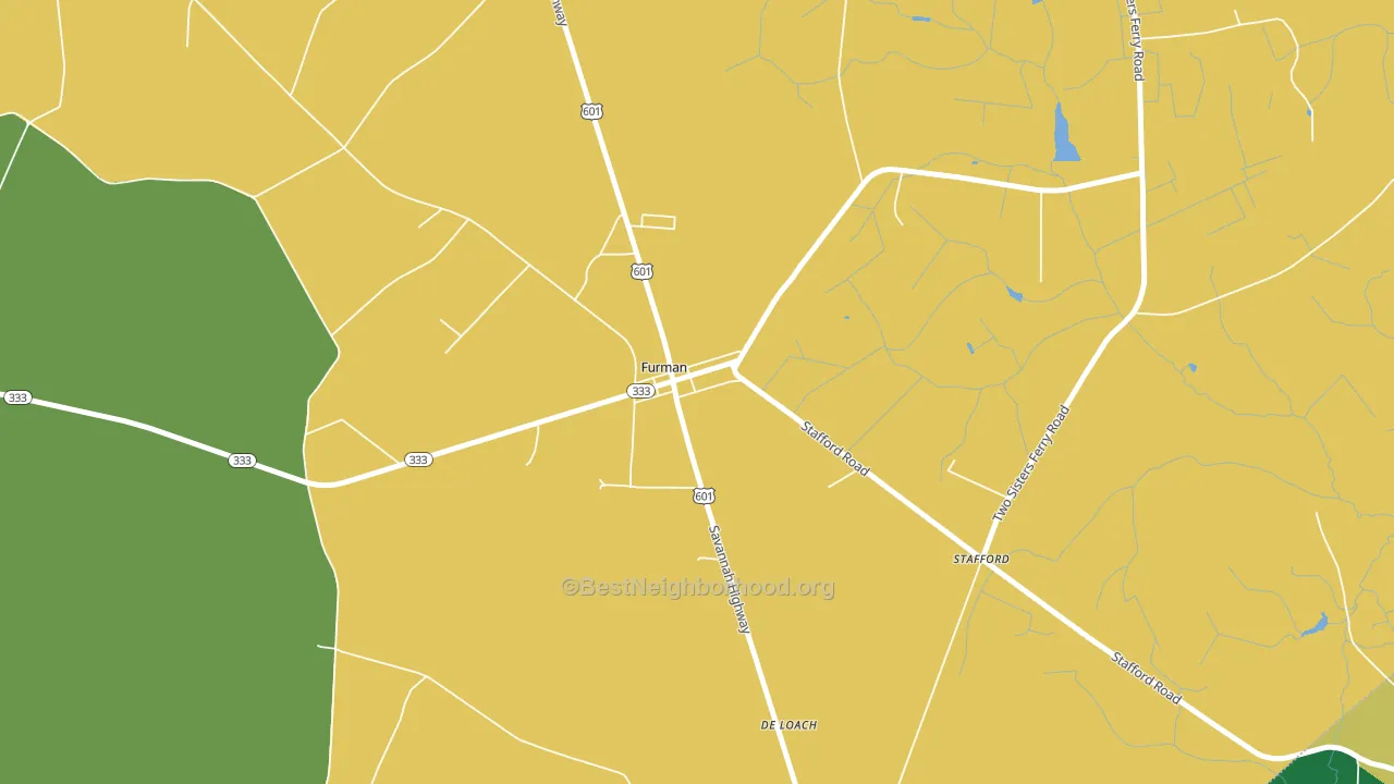 29921, SC block-group voter-turnout map
