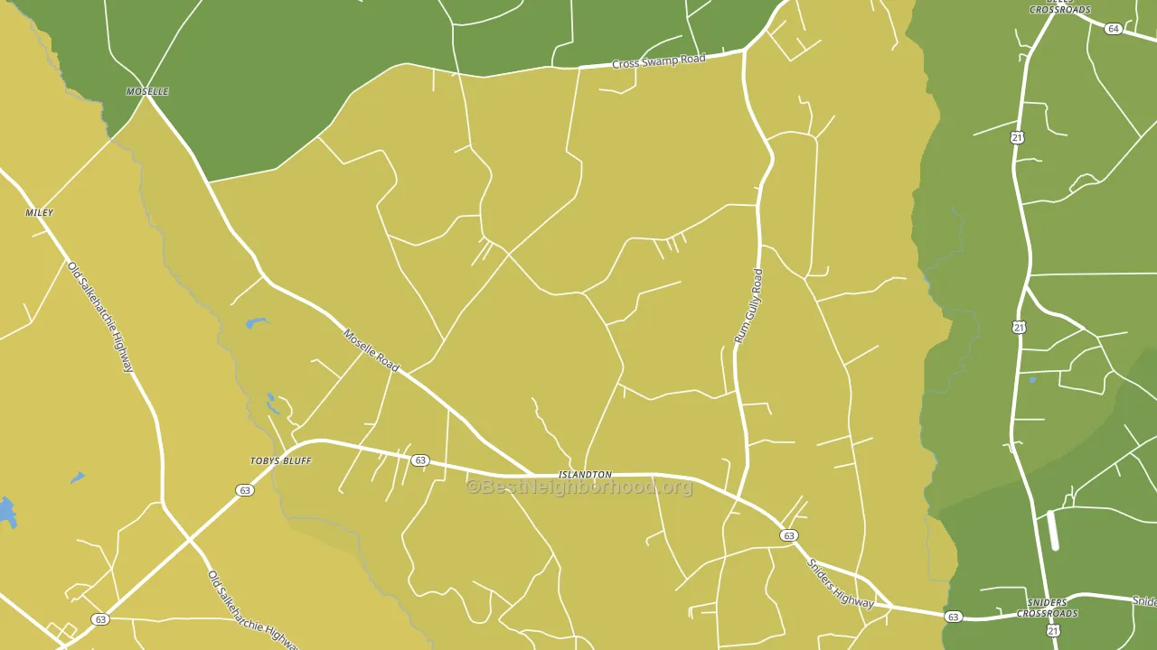 29929, SC block-group voter-turnout map