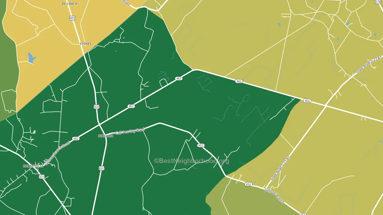 29934, SC block-group voter-turnout map
