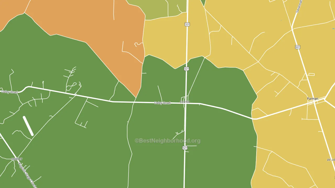 29939, SC block-group voter-turnout map