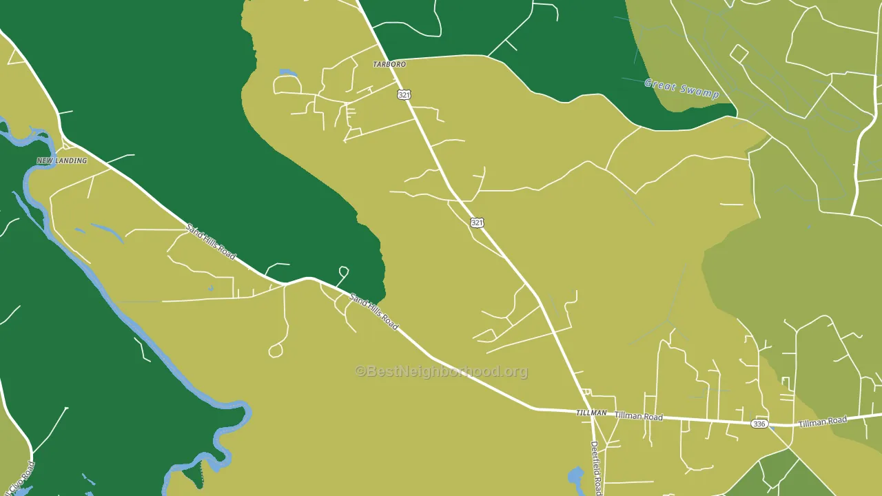 29943, SC block-group voter-turnout map