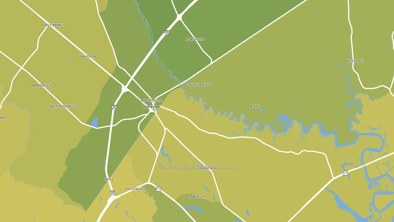 29945, SC block-group voter-turnout map