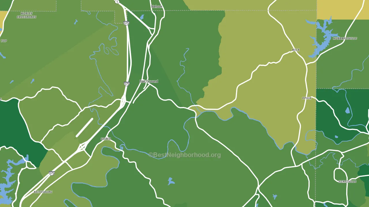 30107, GA block-group voter-turnout map