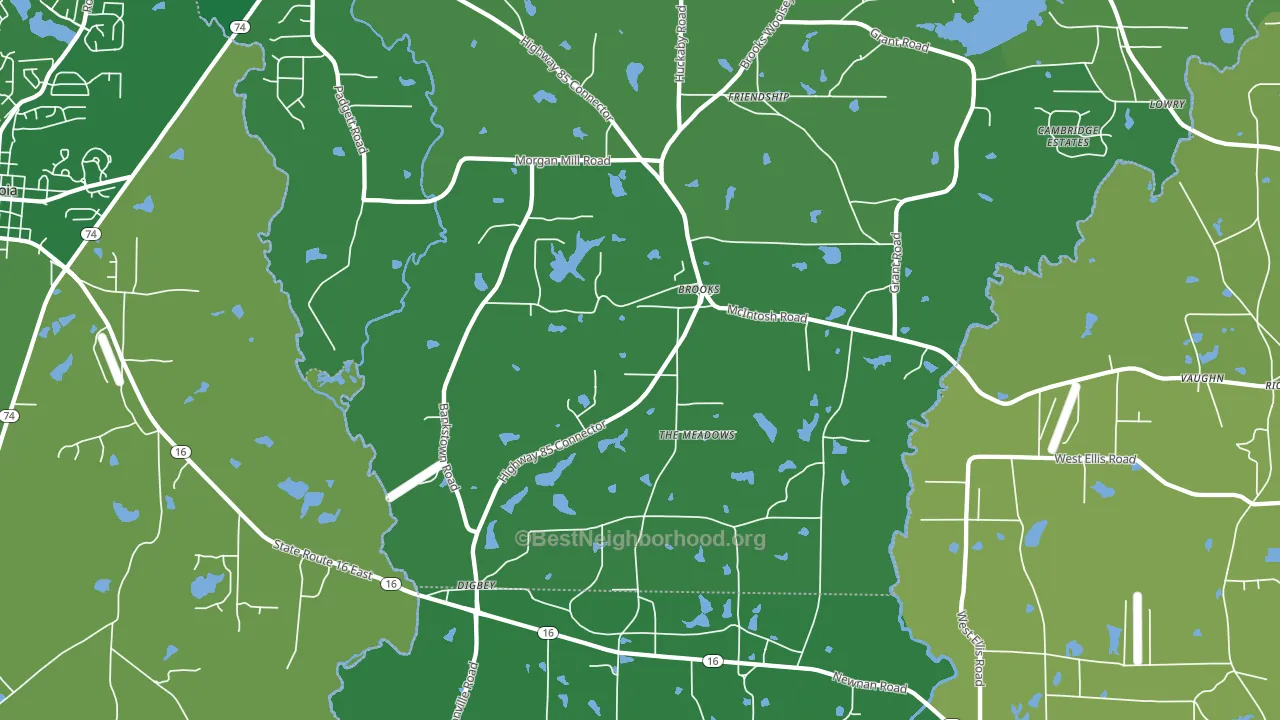 30205, GA block-group voter-turnout map