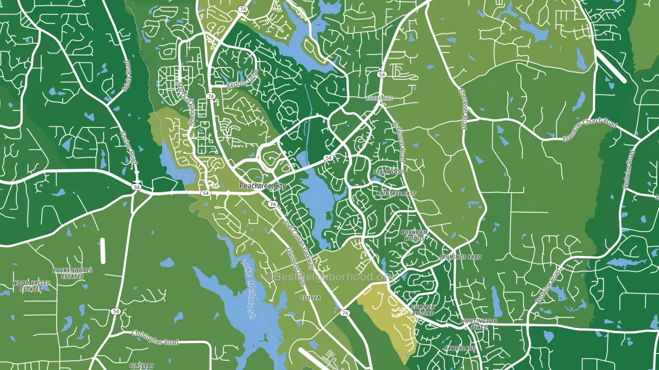 30269, GA block-group voter-turnout map