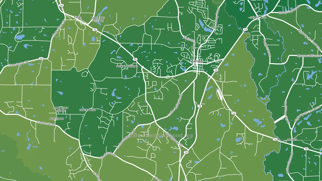30276, GA block-group voter-turnout map