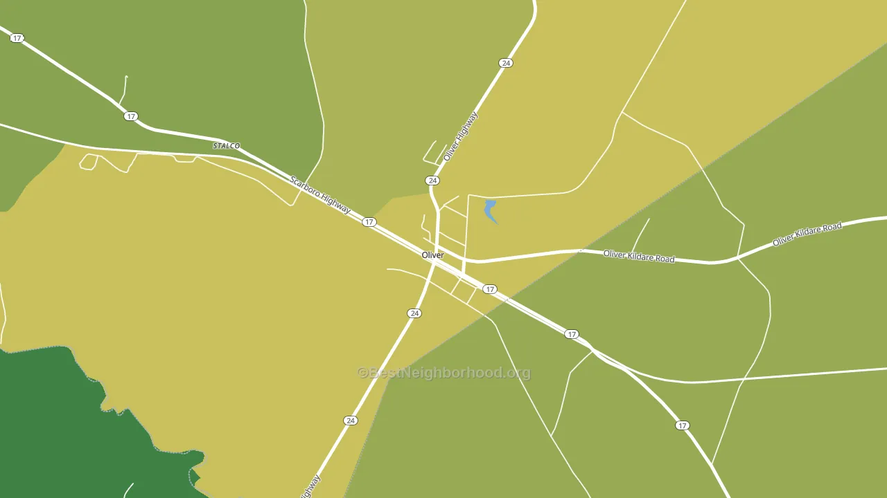 30449, GA block-group voter-turnout map