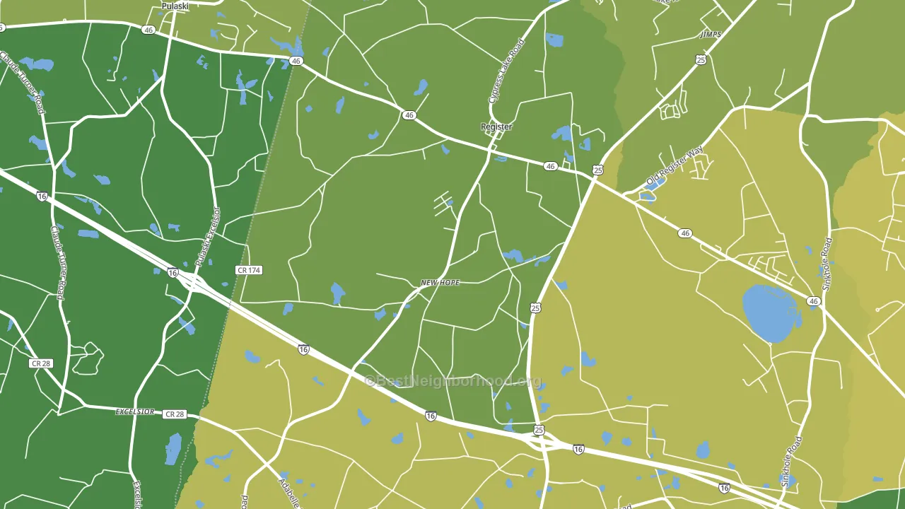 30452, GA block-group voter-turnout map