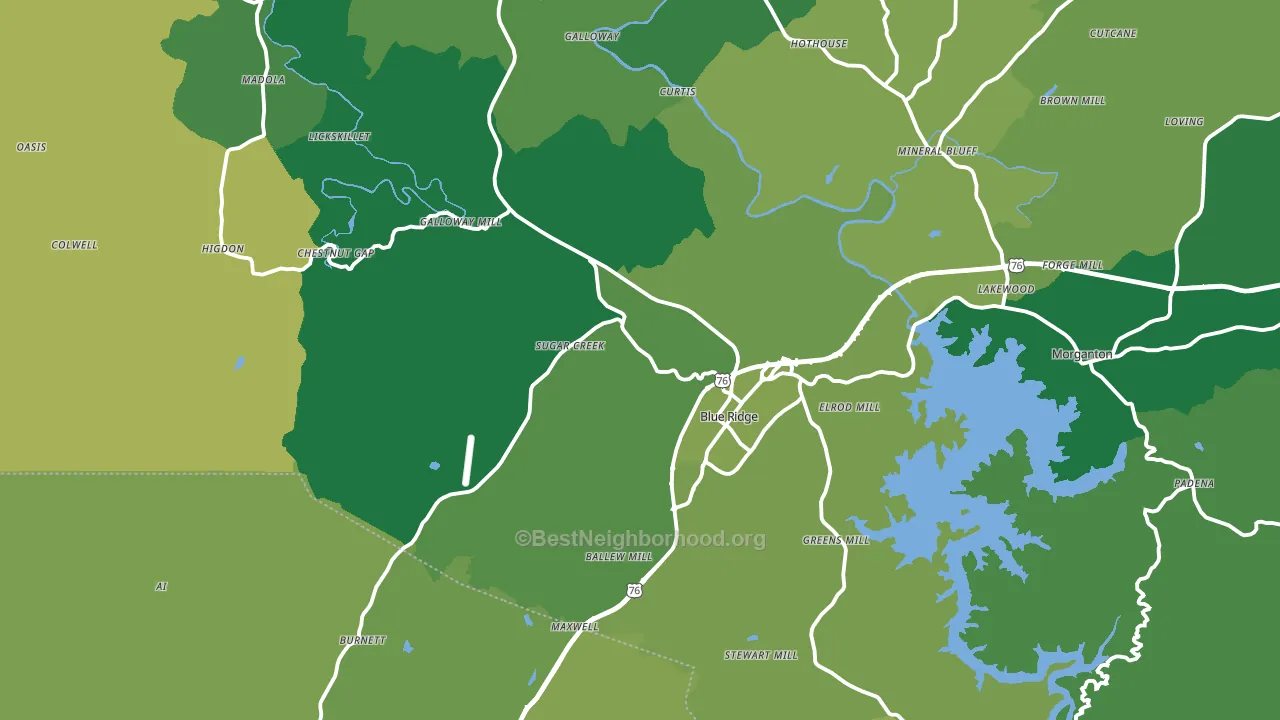 30513, GA block-group voter-turnout map