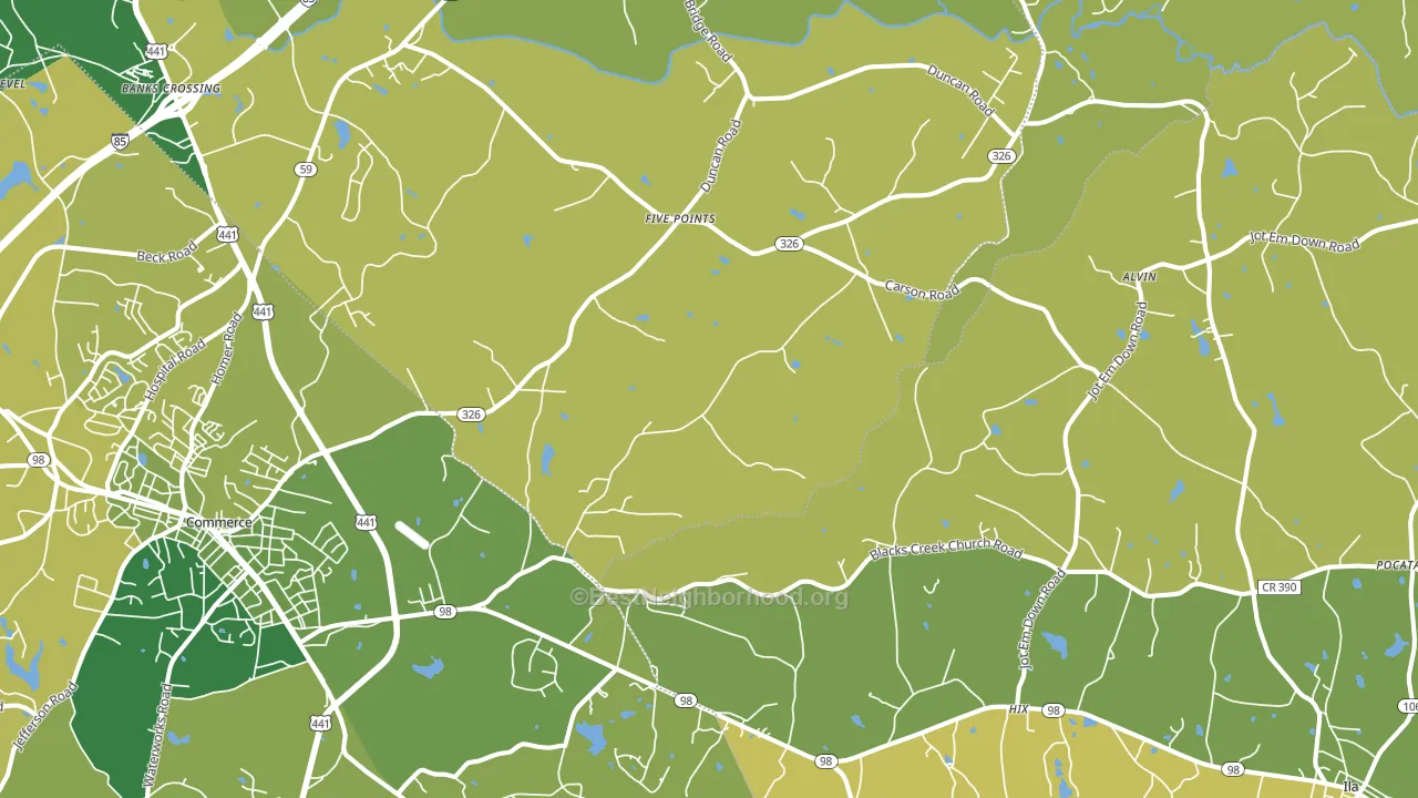 30530, GA block-group voter-turnout map