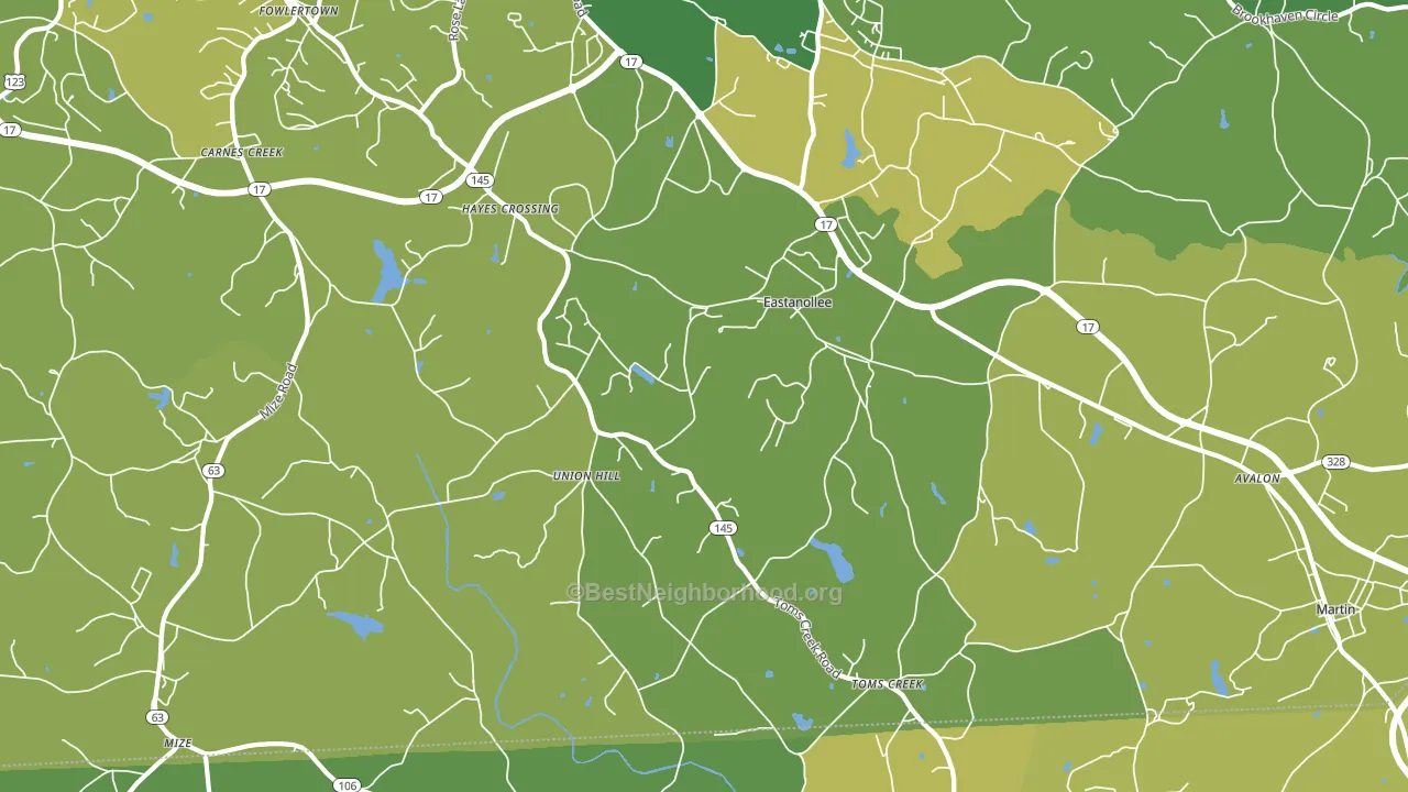 30538, GA block-group voter-turnout map