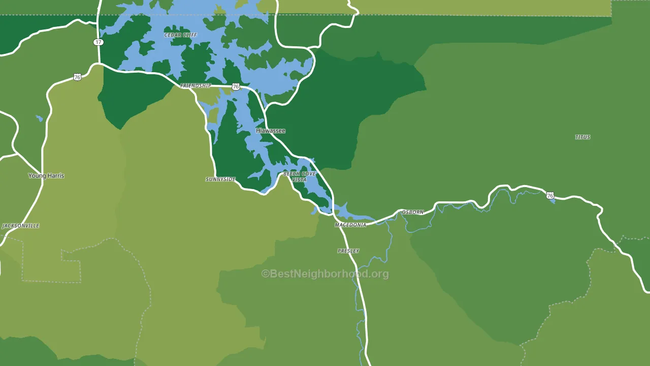 30546, GA block-group voter-turnout map
