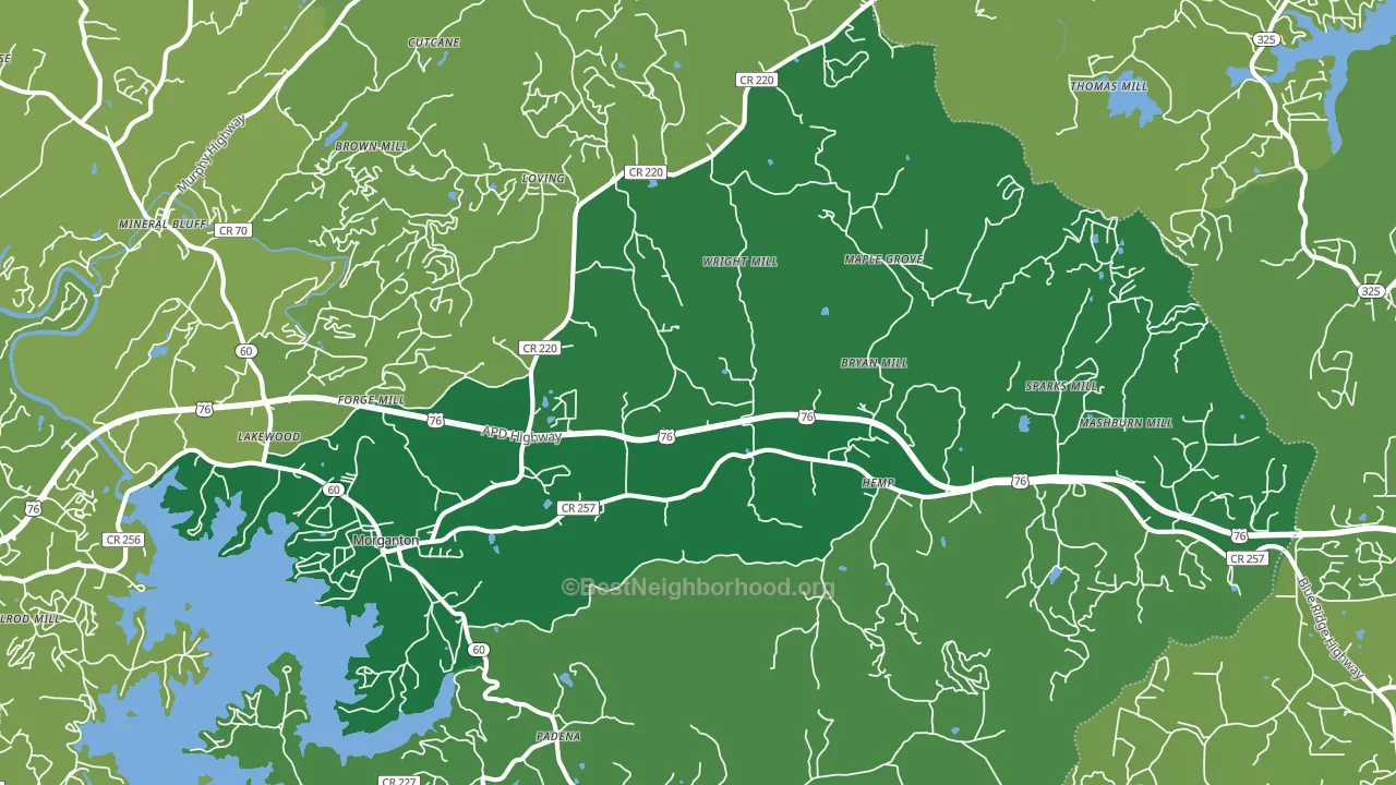 30560, GA block-group voter-turnout map