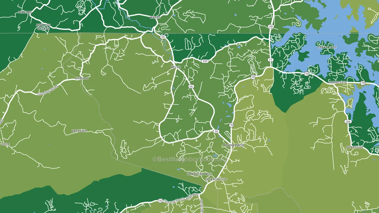 30582, GA block-group voter-turnout map