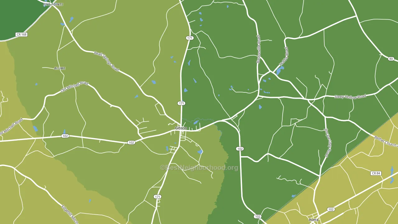30810, GA block-group voter-turnout map
