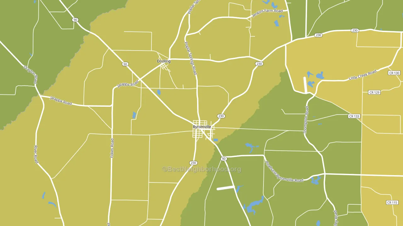 31007, GA block-group voter-turnout map