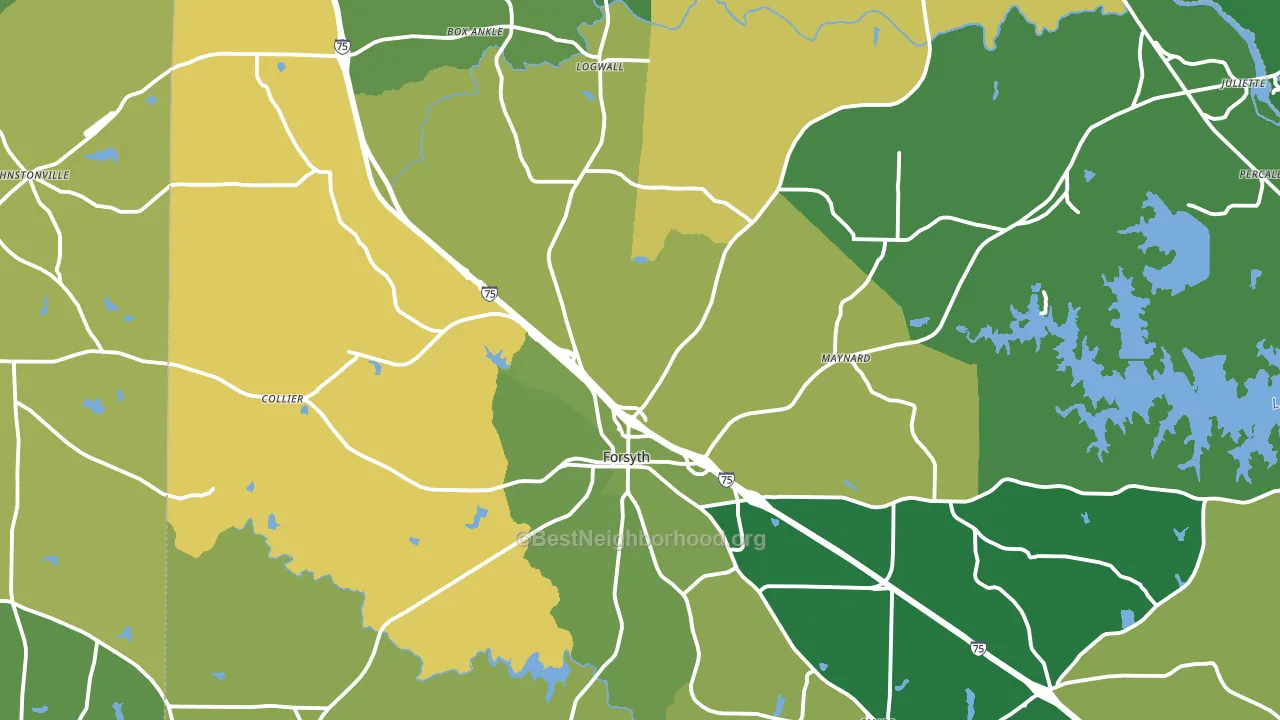 31029, GA block-group voter-turnout map