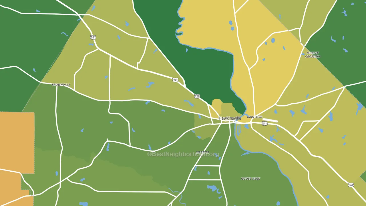 31036, GA block-group voter-turnout map