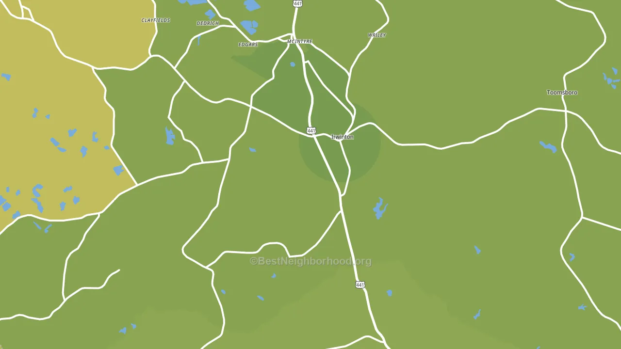 31042, GA block-group voter-turnout map