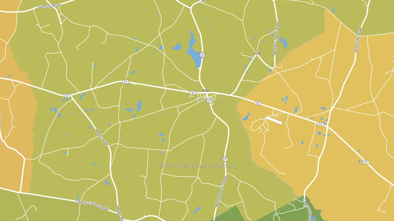 31049, GA block-group voter-turnout map