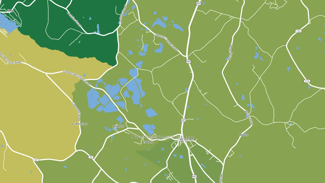 31054, GA block-group voter-turnout map