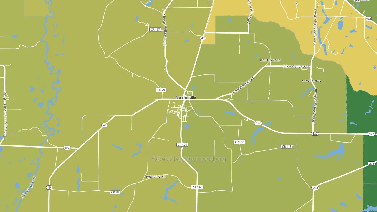 31057, GA block-group voter-turnout map