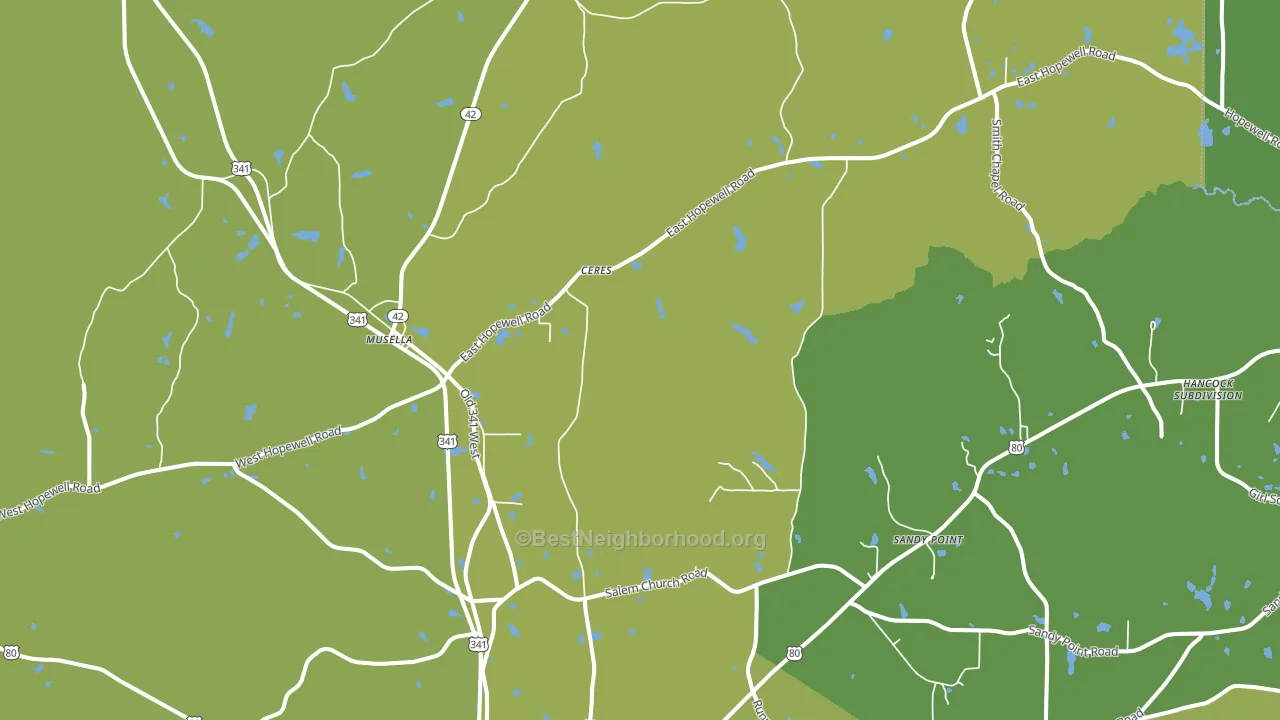 31066, GA block-group voter-turnout map