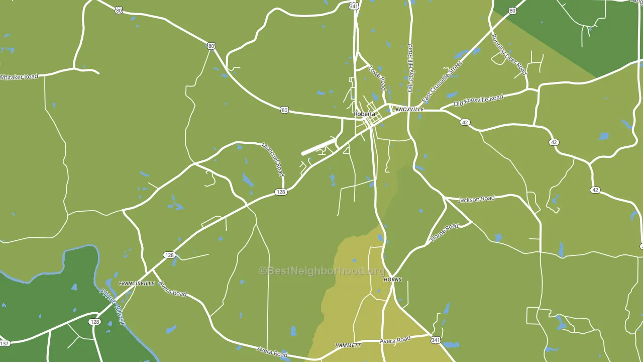 31078, GA block-group voter-turnout map
