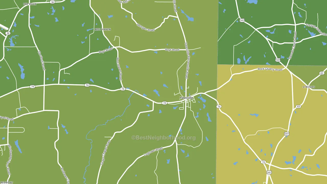 31097, GA block-group voter-turnout map