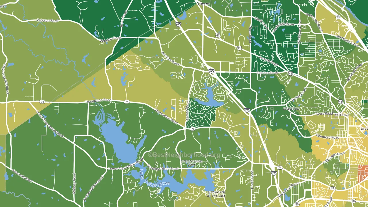 31220, GA block-group voter-turnout map