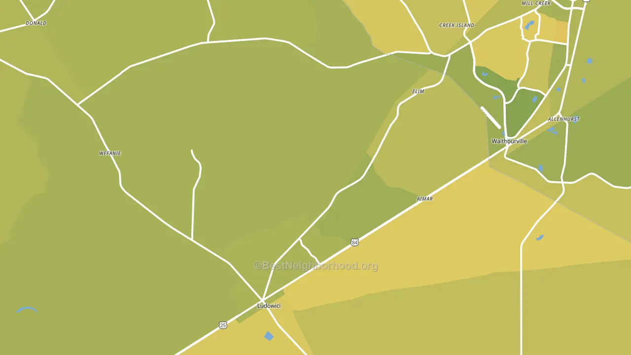 31316, GA block-group voter-turnout map