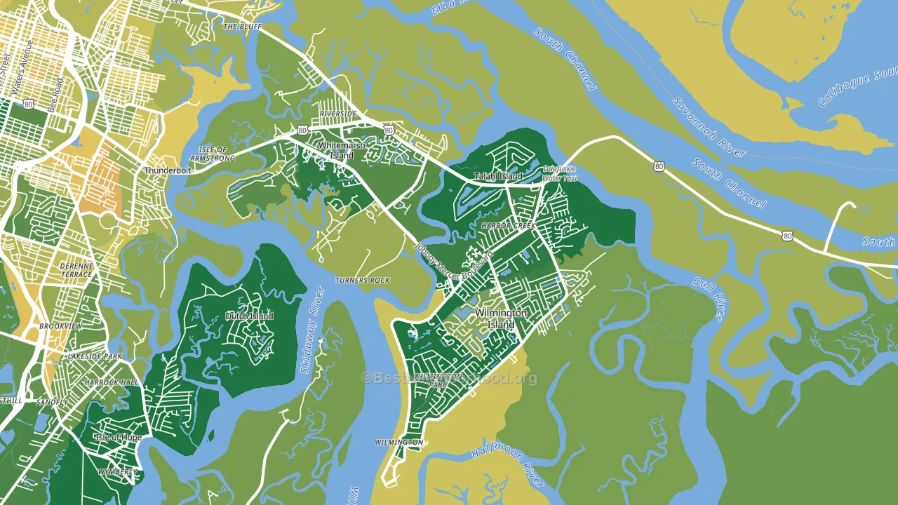 31410, GA block-group voter-turnout map