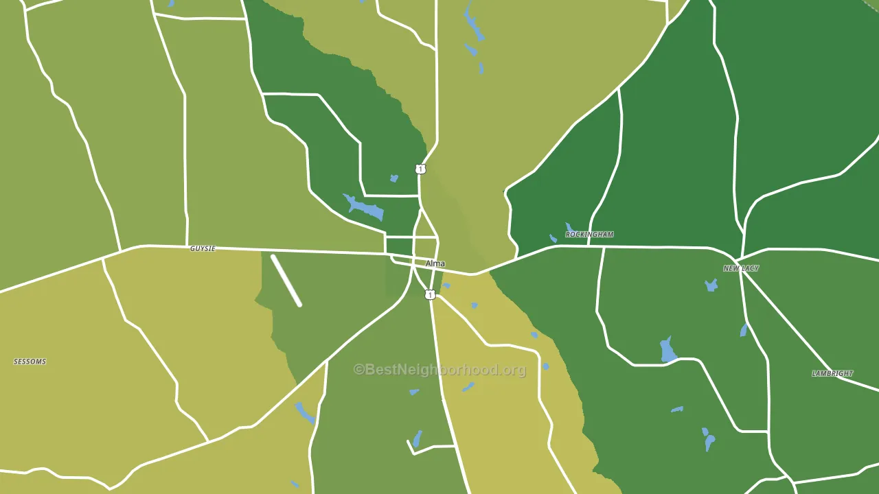 31510, GA block-group voter-turnout map