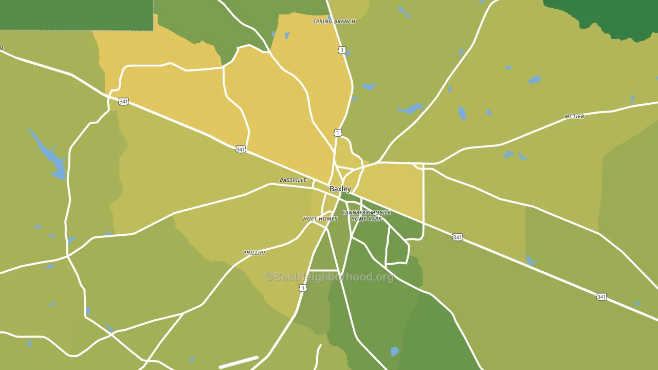 31513, GA block-group voter-turnout map