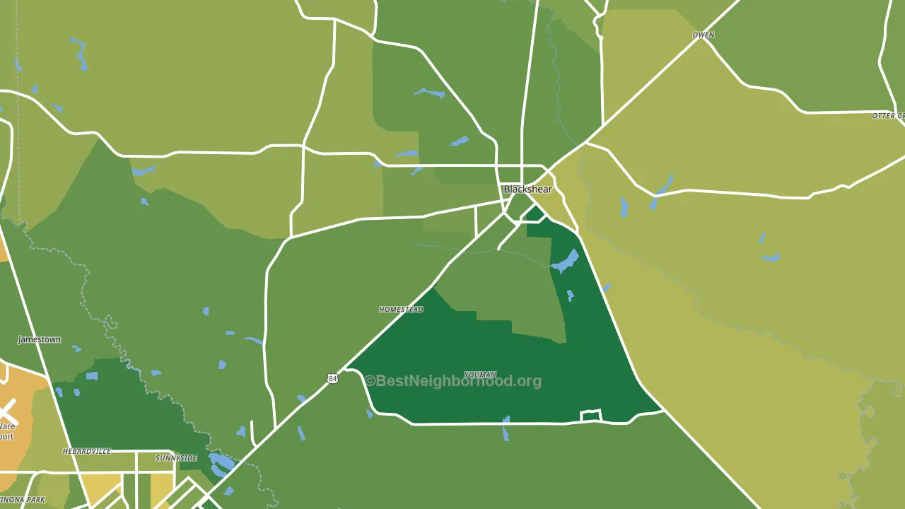 31516, GA block-group voter-turnout map