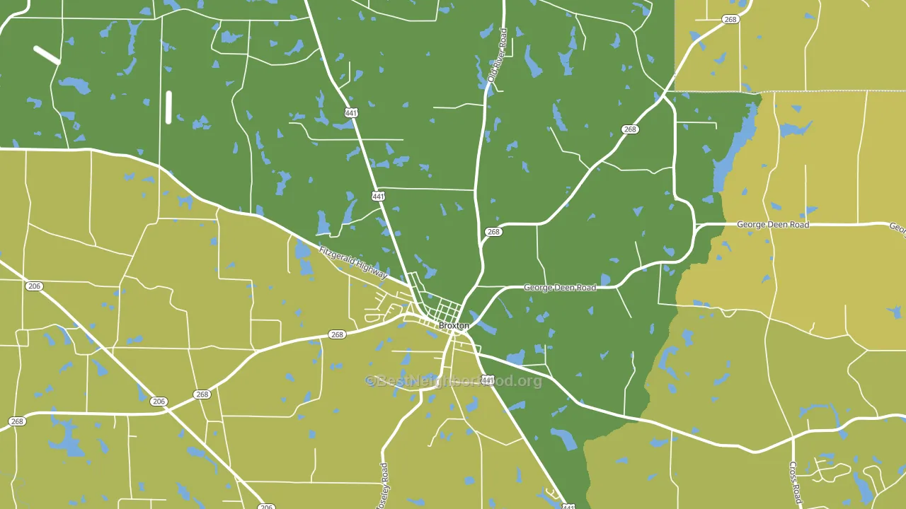 31519, GA block-group voter-turnout map