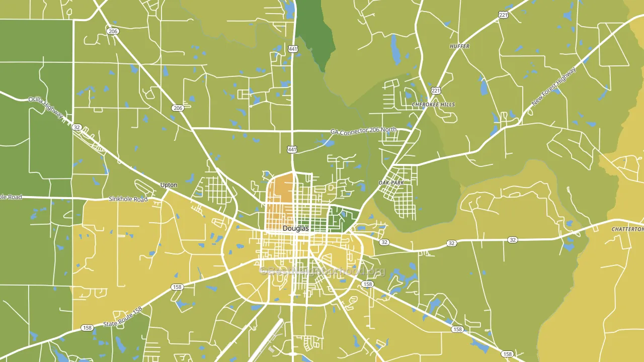 31533, GA block-group voter-turnout map