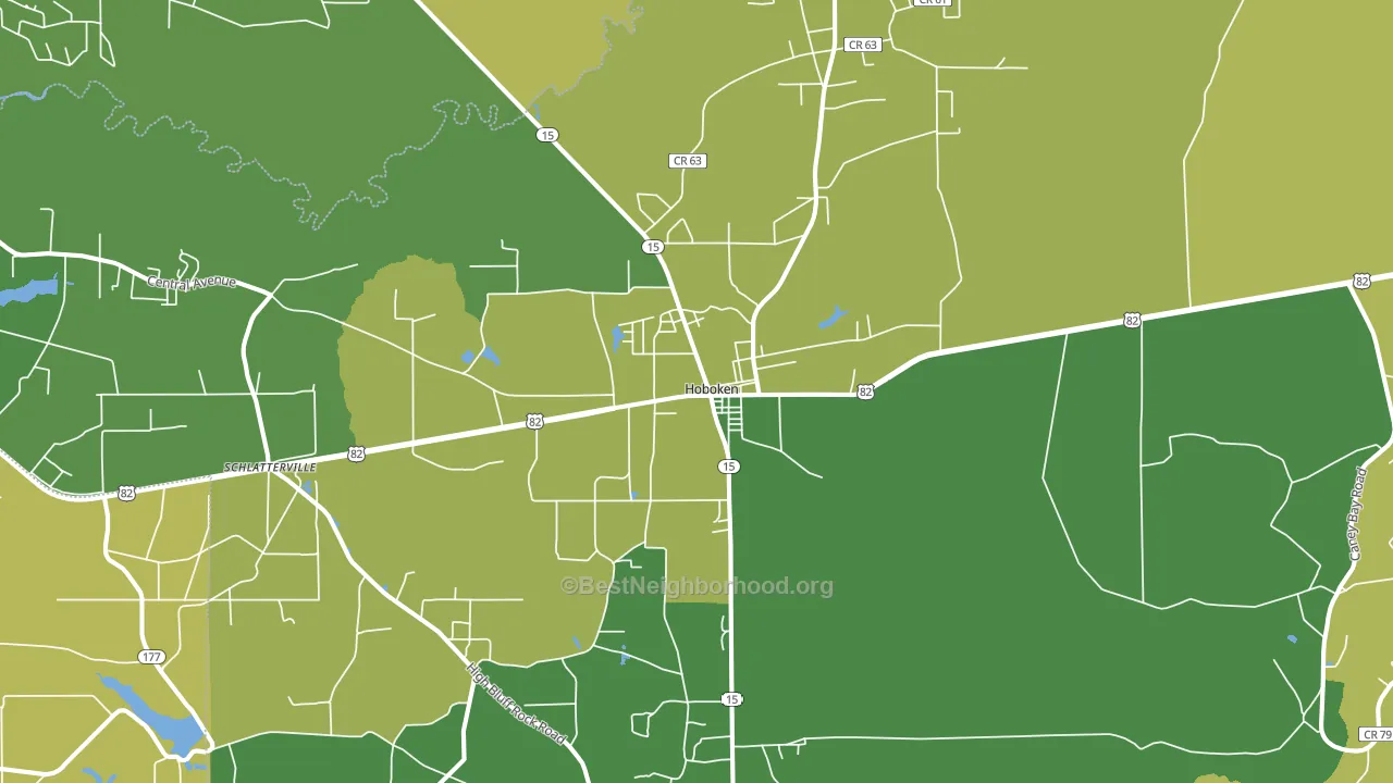 31542, GA block-group voter-turnout map