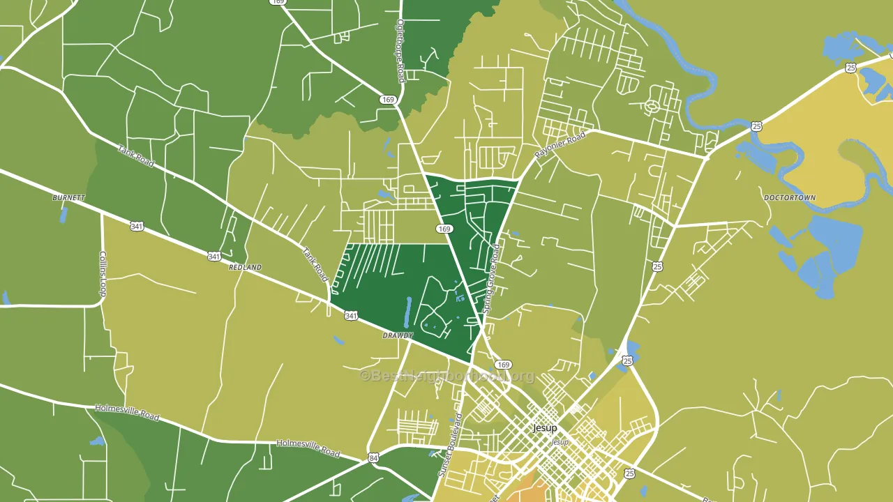 31545, GA block-group voter-turnout map