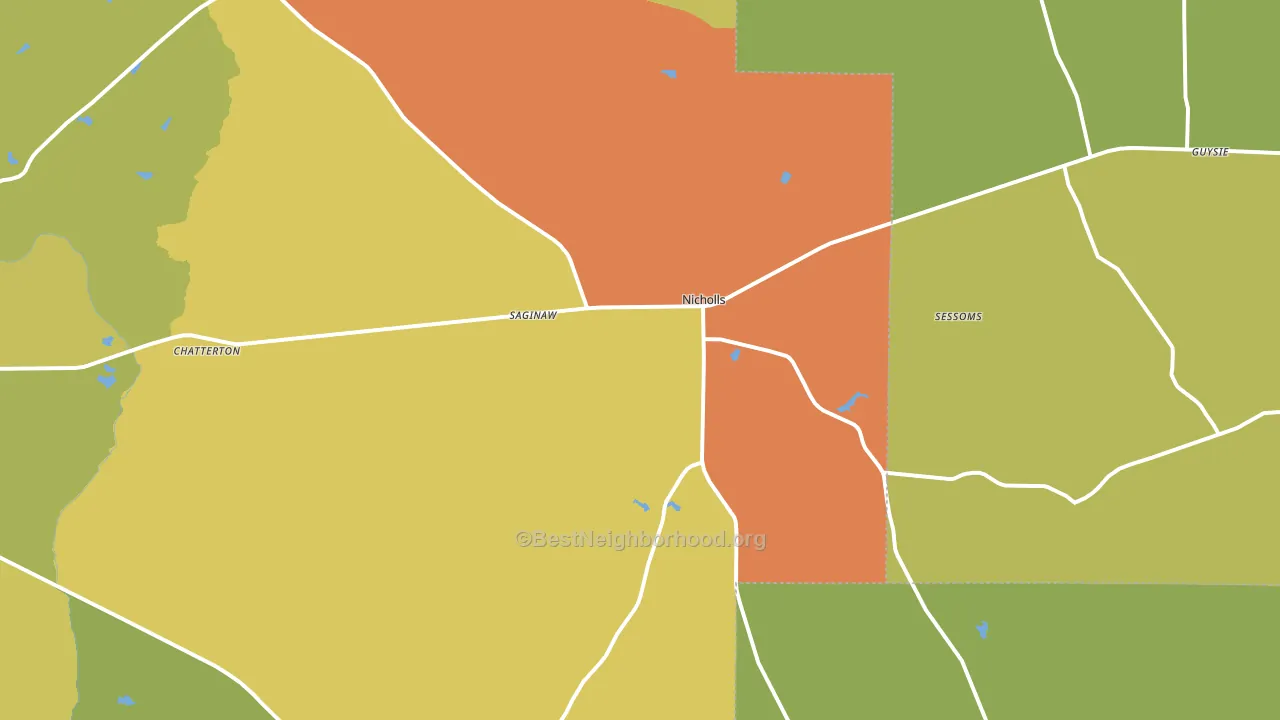 31554, GA block-group voter-turnout map