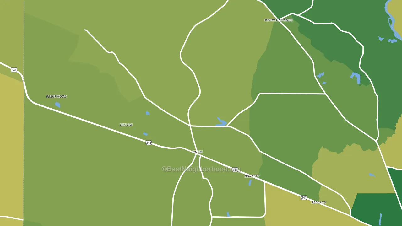 31555, GA block-group voter-turnout map