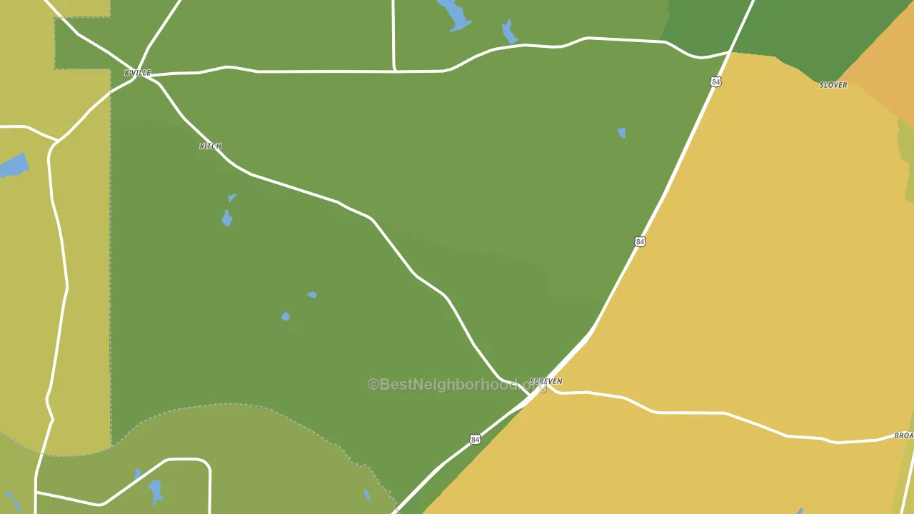 31560, GA block-group voter-turnout map